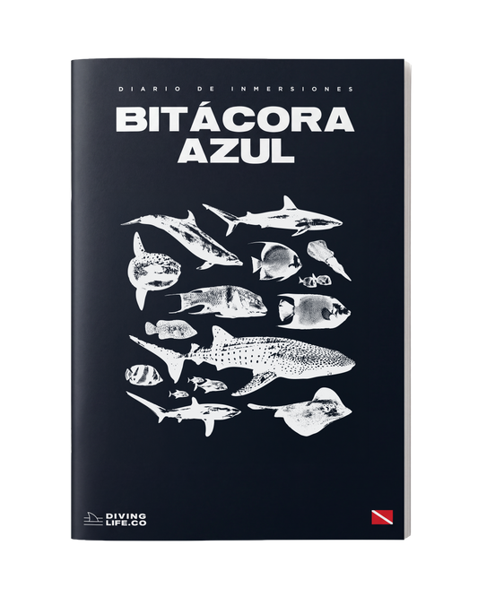 Bitácora Azul